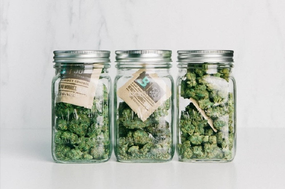 Conservation des fleurs de CBD - Les Frères CBD