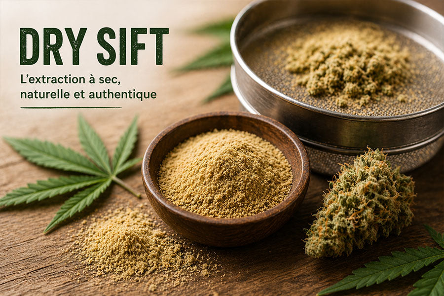 Le dry sift, l'art de l’extraction à sec : tout savoir sur cette technique emblématique