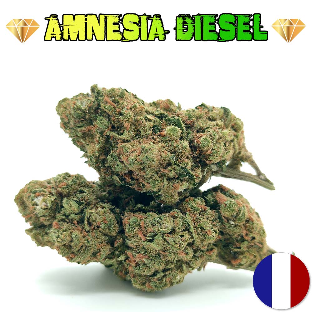 Amnesia Diesel - Luxury Edition