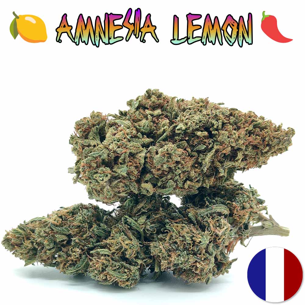 Amnesia Lemon Haze