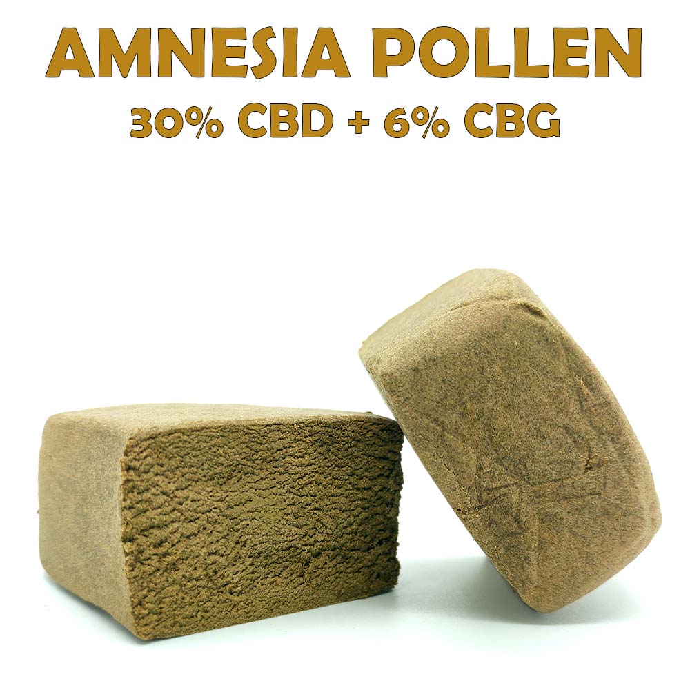 Amnesia Haze Pollen 30% CBD + 6% CBG