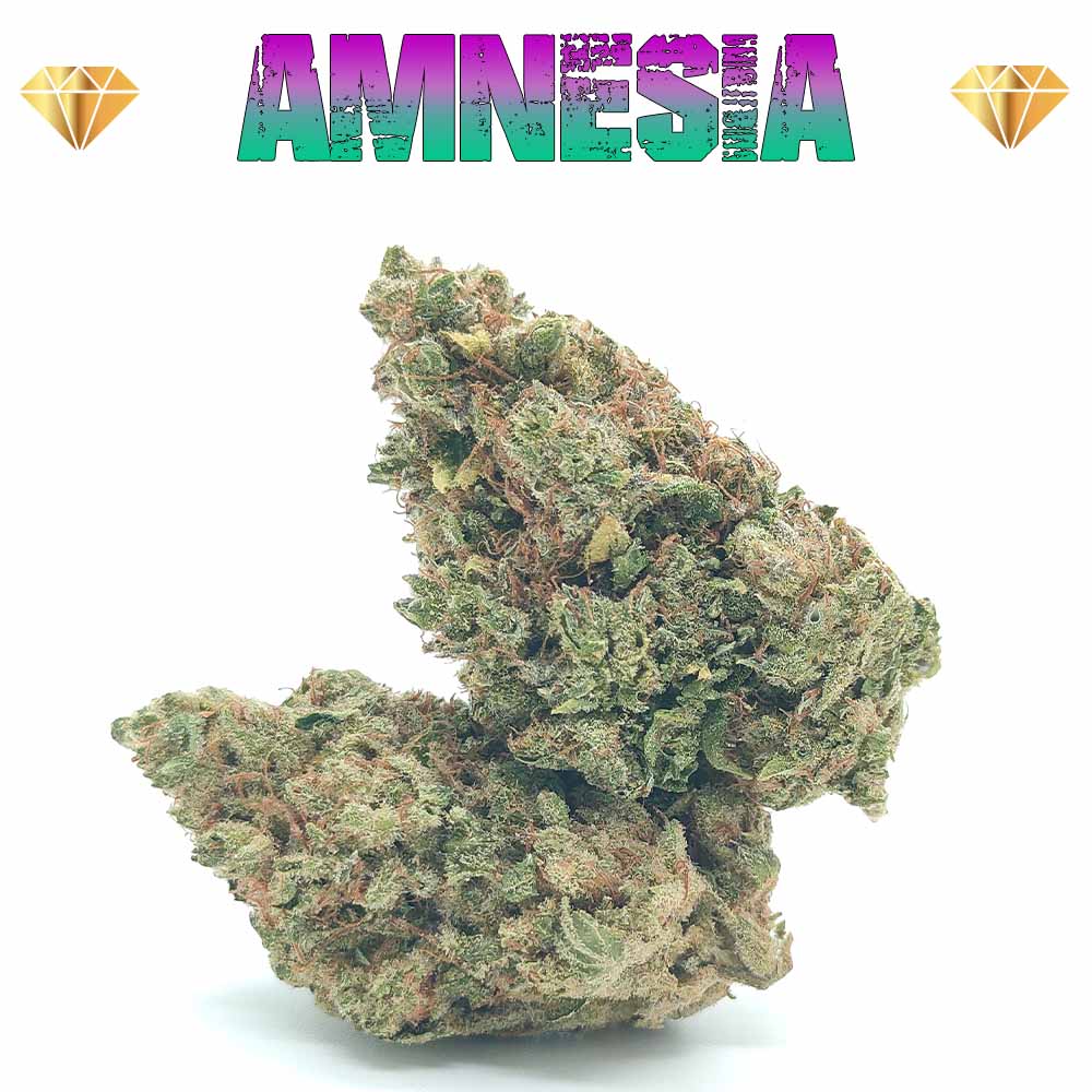 Amnesia CBD - Luxury Edition