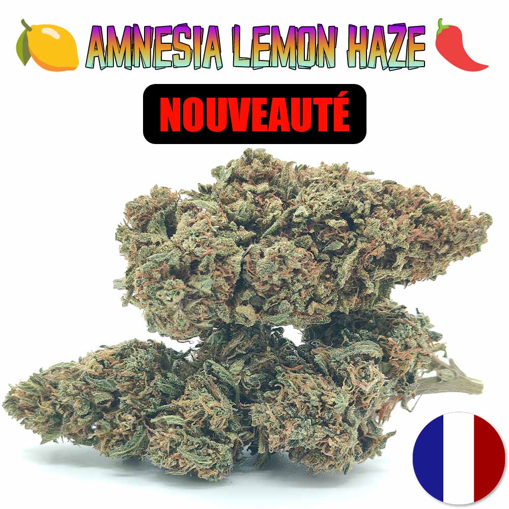 Amnesia Lemon Haze