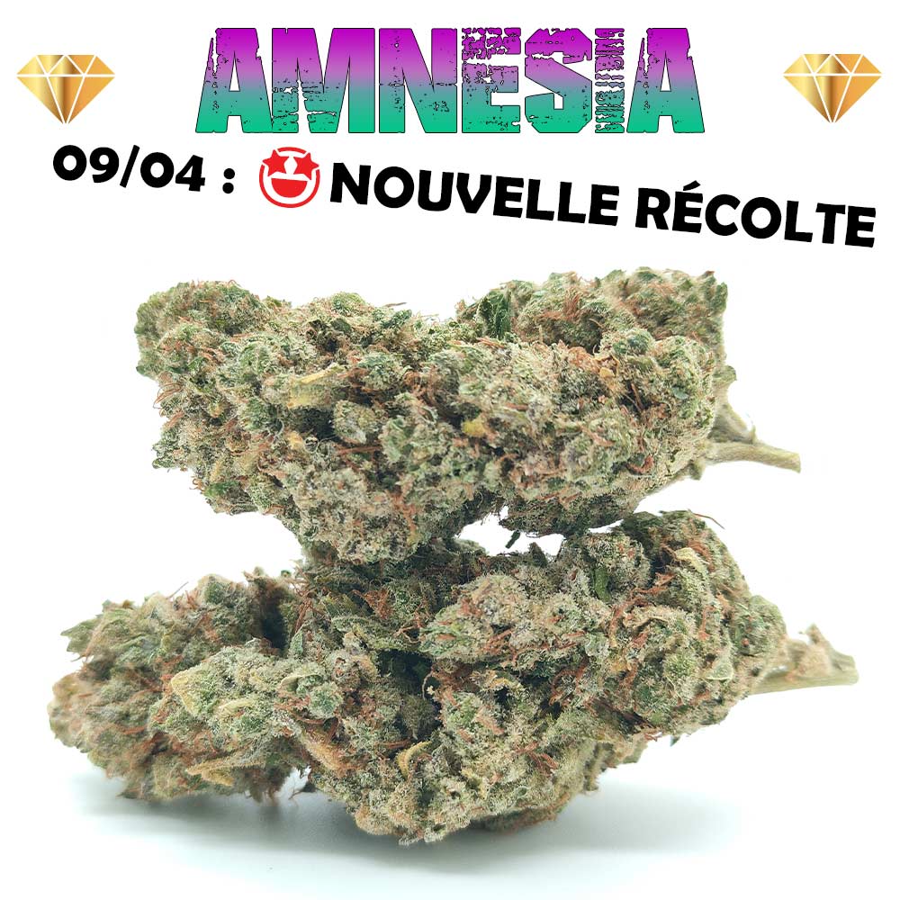50€ d'achat - 1er Cadeau offert