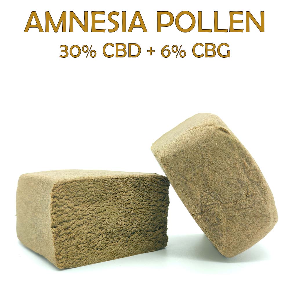 Amnesia Haze Pollen 30% CBD + 6% CBG