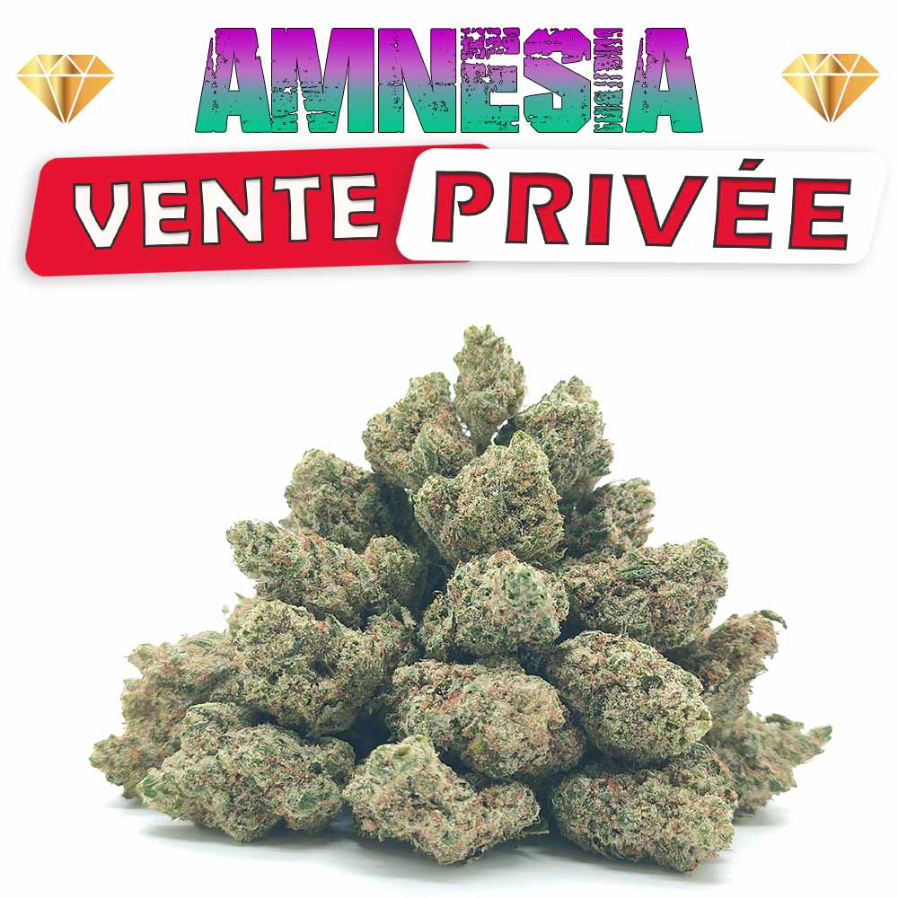 Vente Privée🌟 Amnesia - Popcorn Luxury Edition