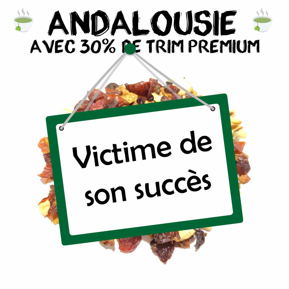 Infusion Andalousie CBD