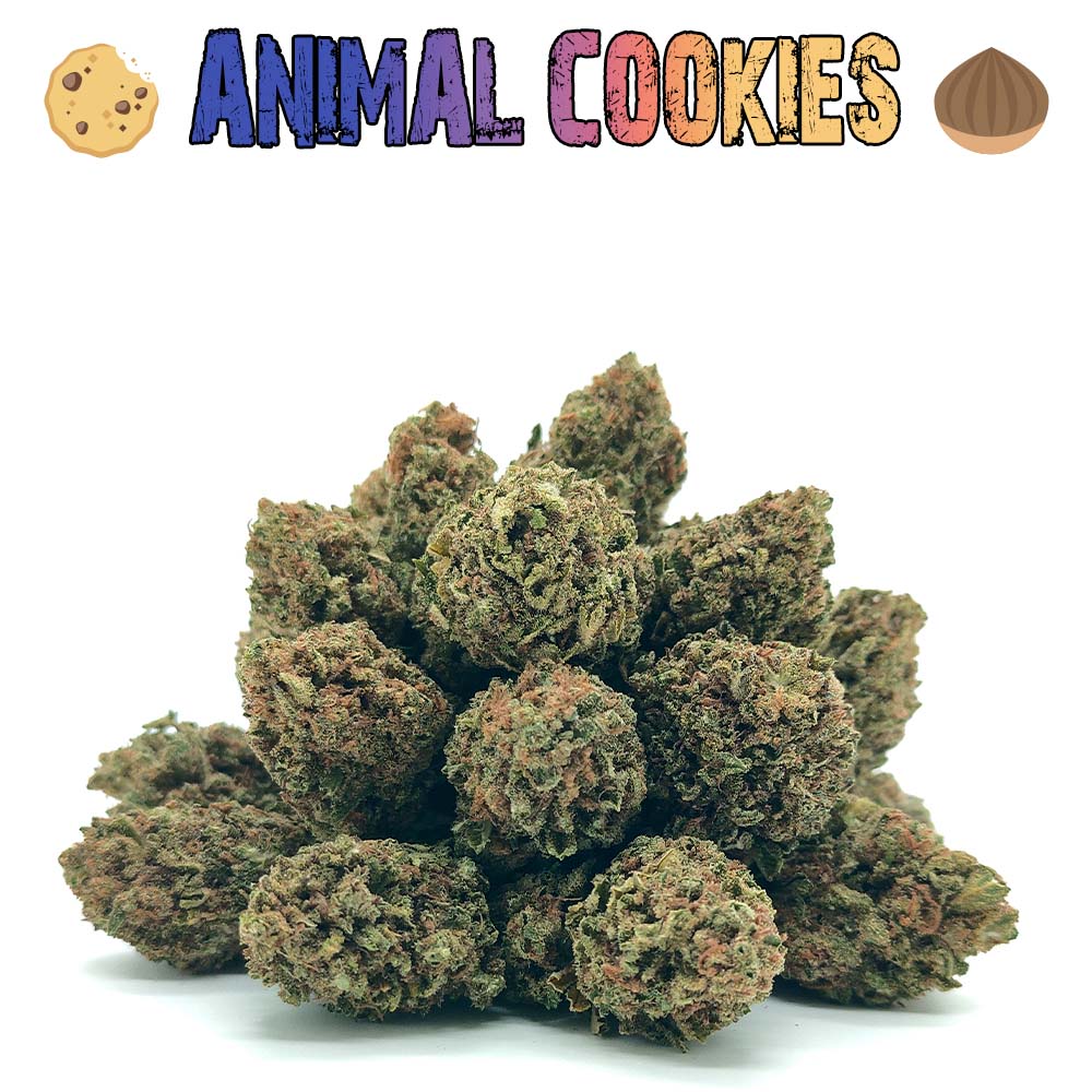 Popcorn - Animal Cookies