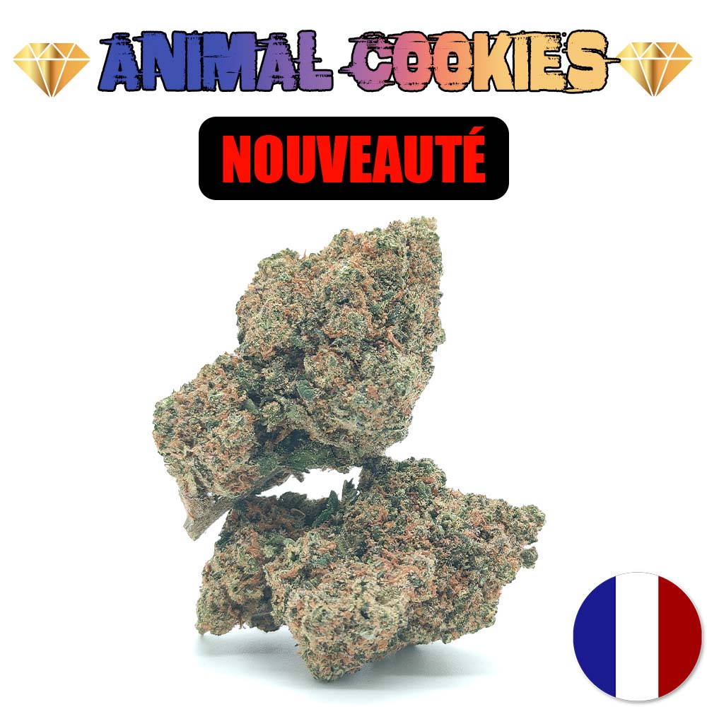 Animal Cookies - Luxury Edition