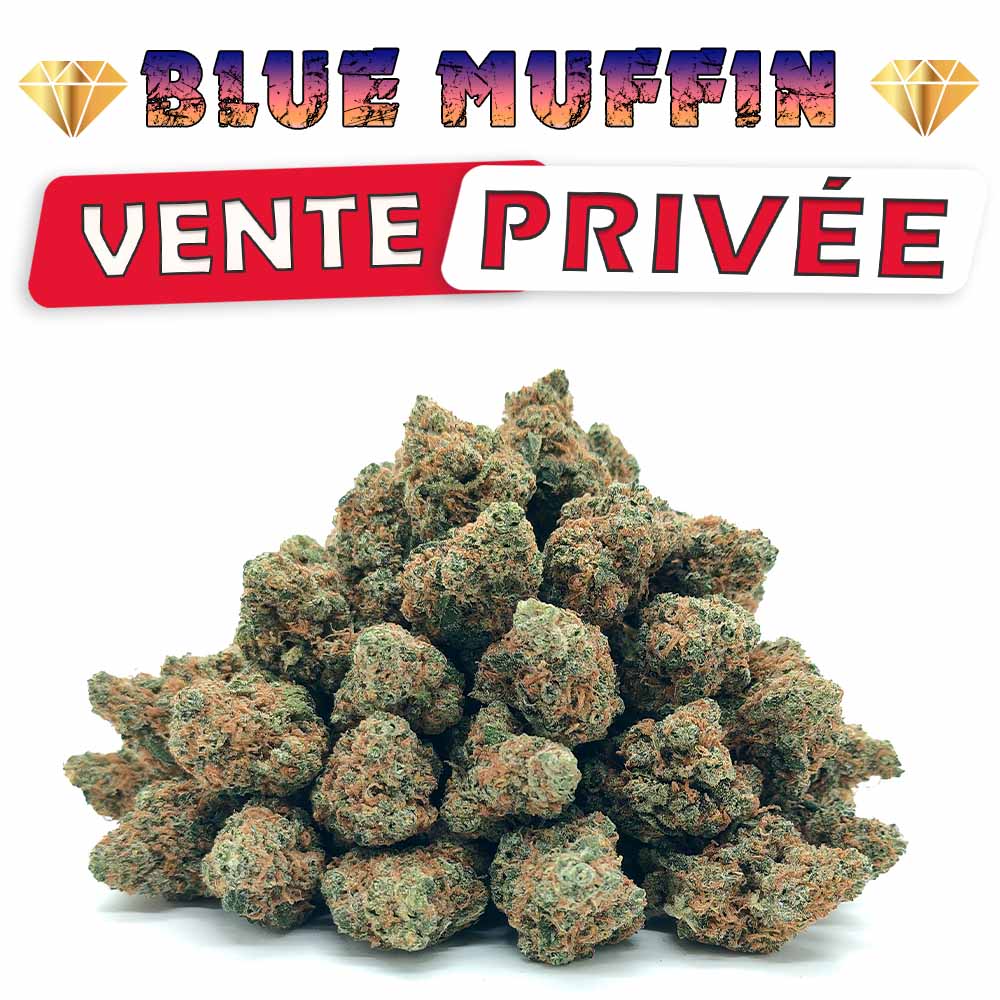Vente Privée🌟 Blueberry Muffin - Popcorn Luxury Edition