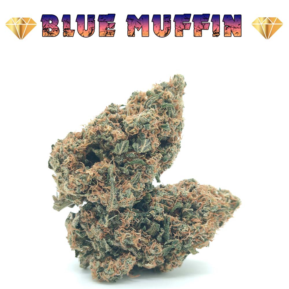 Blueberry Muffin CBD - Luxury Edition
