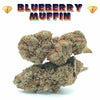 Blueberry Muffin CBD - Luxury Edition