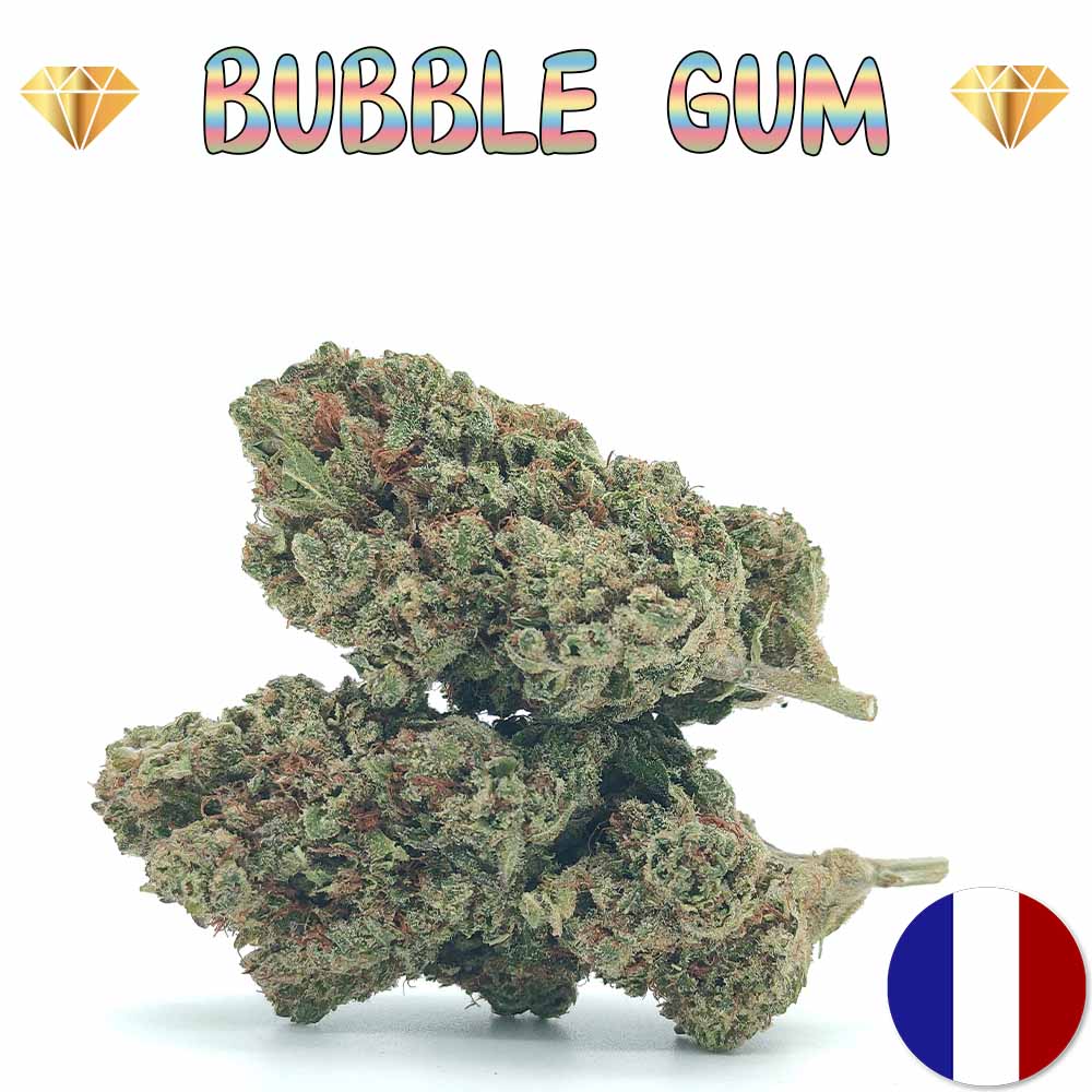 Bubble Gum - Luxury Edition
