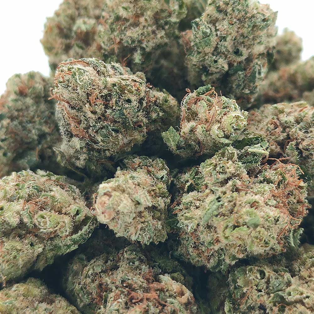 Vente Privée🌟 Bubble Gum - Popcorn Luxury Edition
