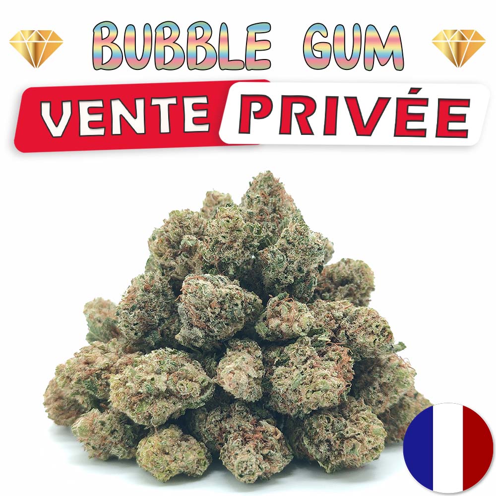 Vente Privée🌟 Bubble Gum - Popcorn Luxury Edition