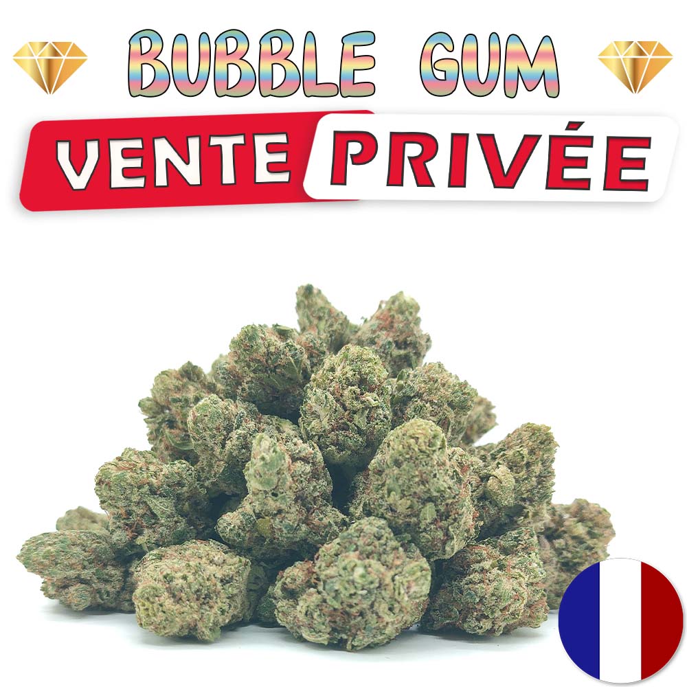 Vente Privée🌟 Bubble Gum - Popcorn Luxury Edition