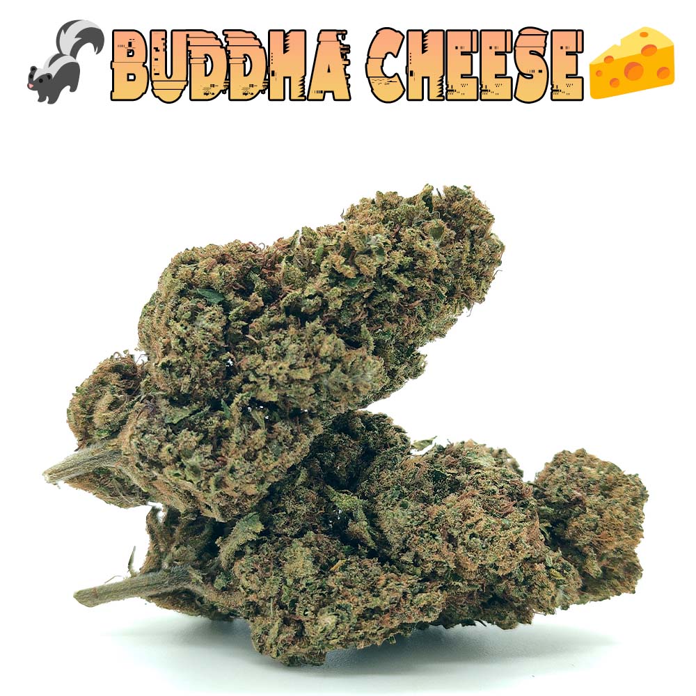 Buddha Cheese
