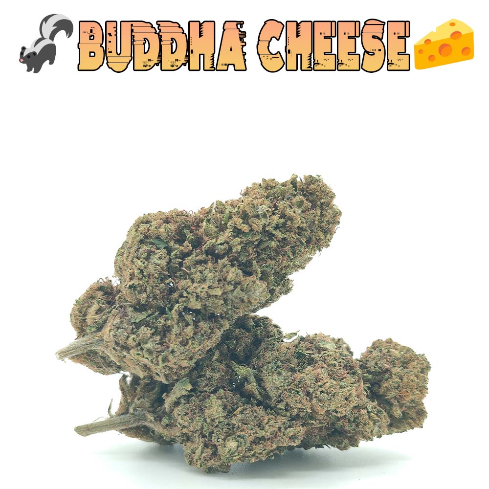 Buddha Cheese