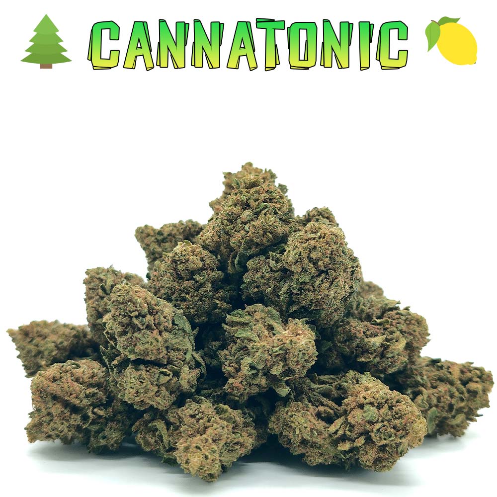 Popcorn - Cannatonic