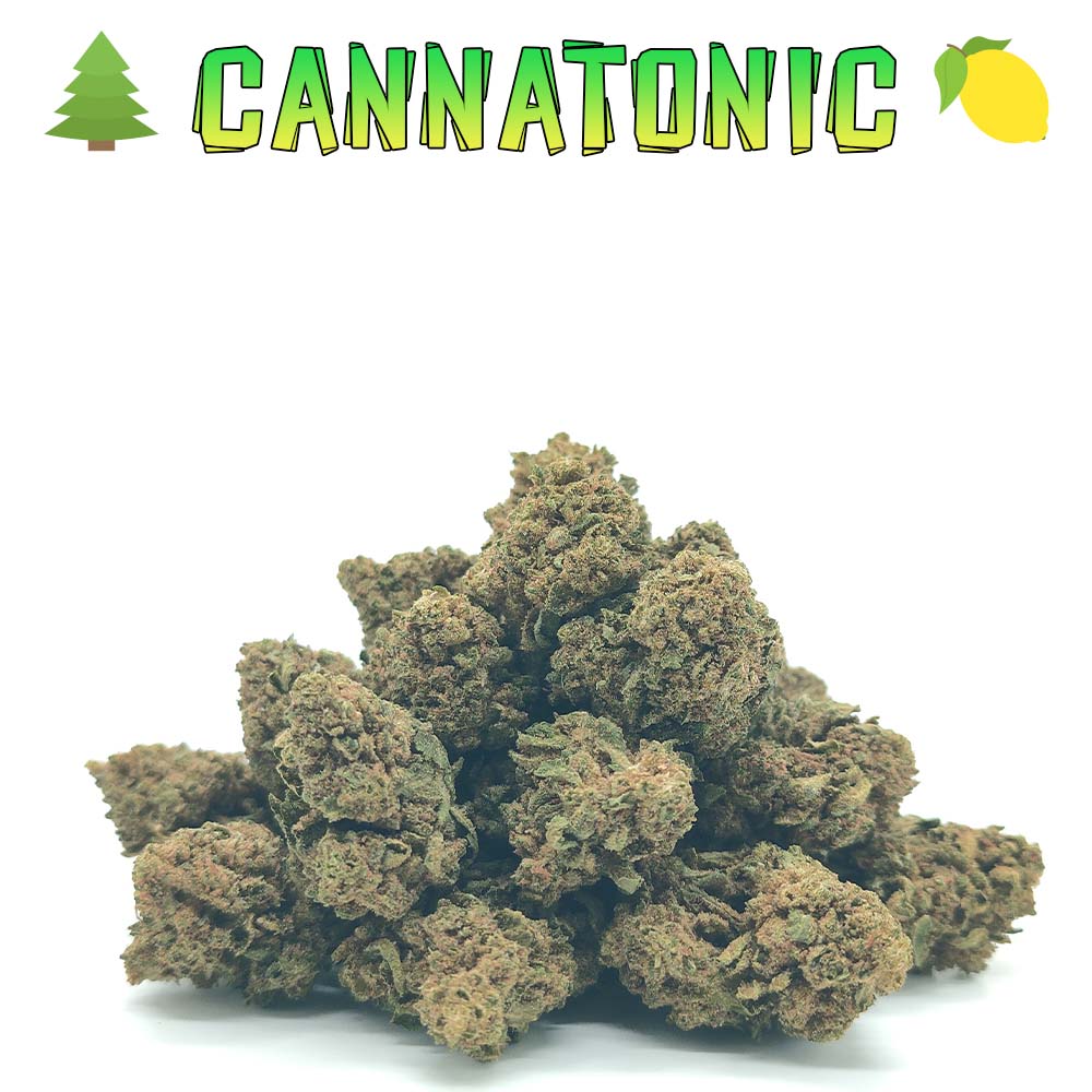 Popcorn - Cannatonic