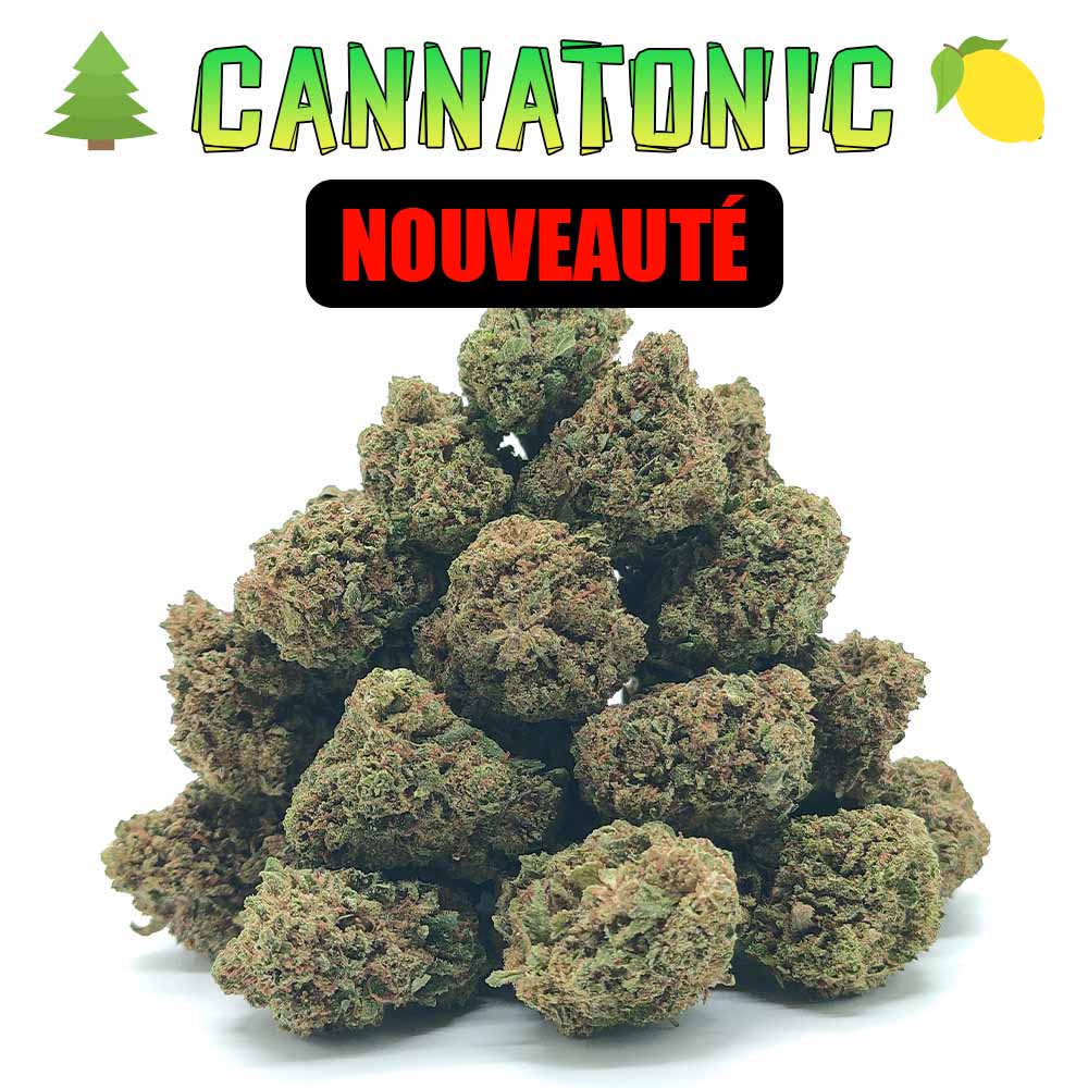 Popcorn - Cannatonic