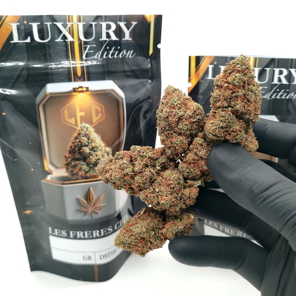 Critical Haze - Luxury Edition