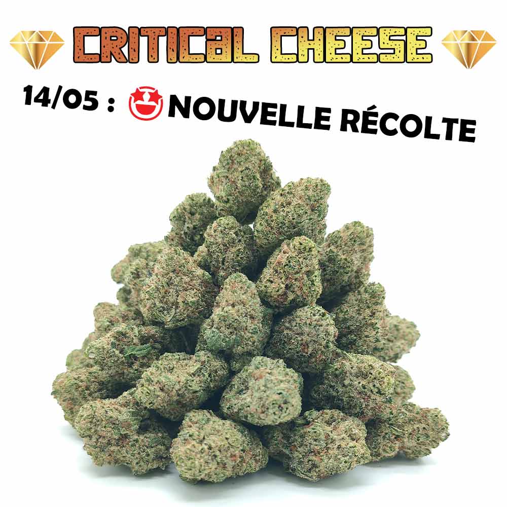 50€ d'achat - 1er Cadeau offert