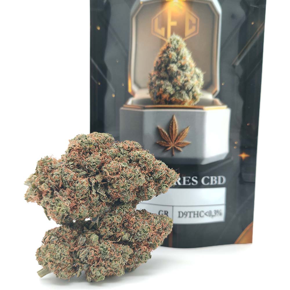 Critical Haze - Luxury Edition