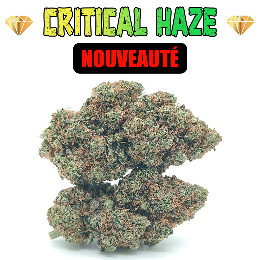 Critical Haze - Luxury Edition