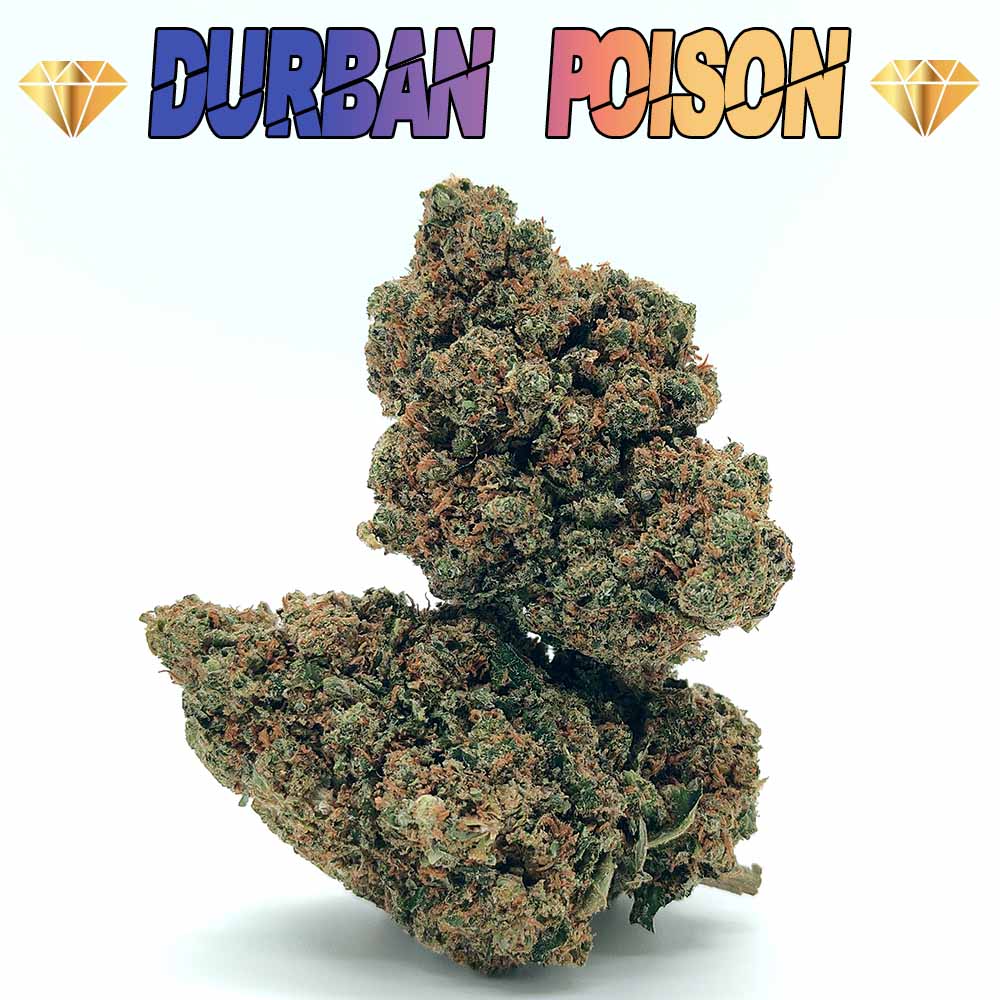 Durban Poison Indoor CBD - Les Frères CBD