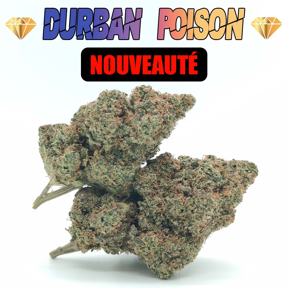 Durban Poison - Luxury Edition