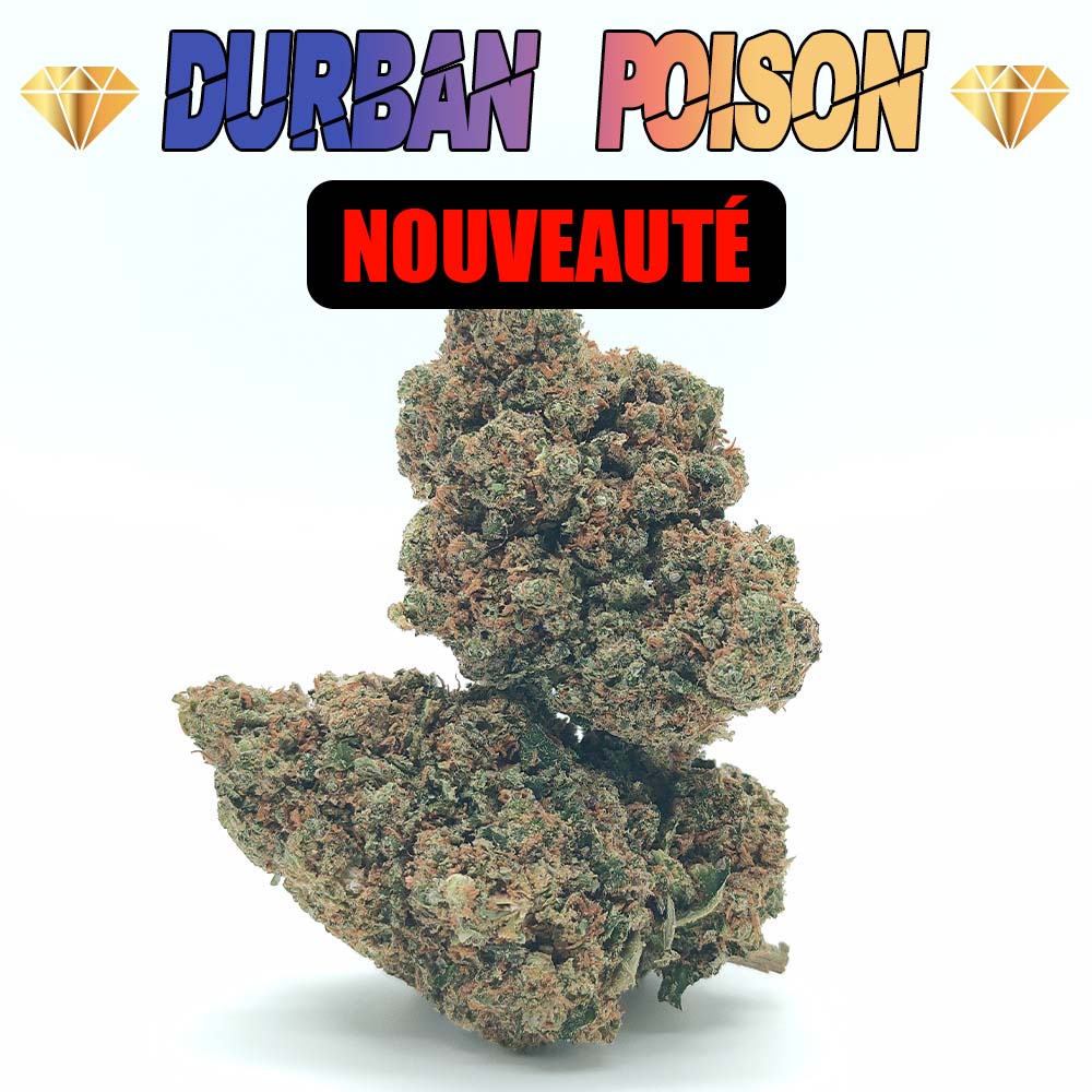 Durban Poison - Luxury Edition
