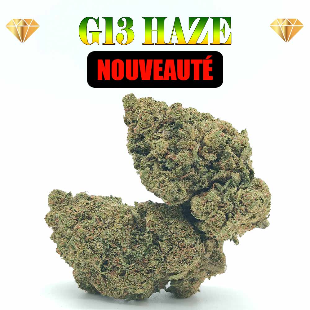 G13 Haze - Luxury Edition