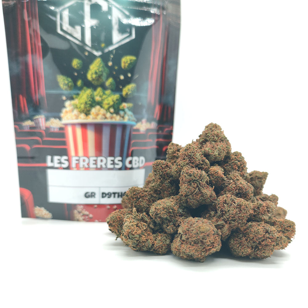 Popcorn - Gelato 41