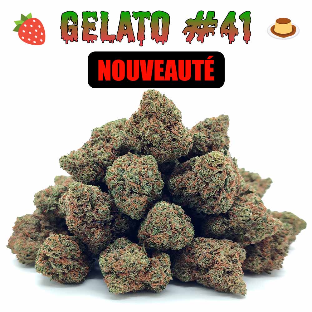 Popcorn - Gelato 41