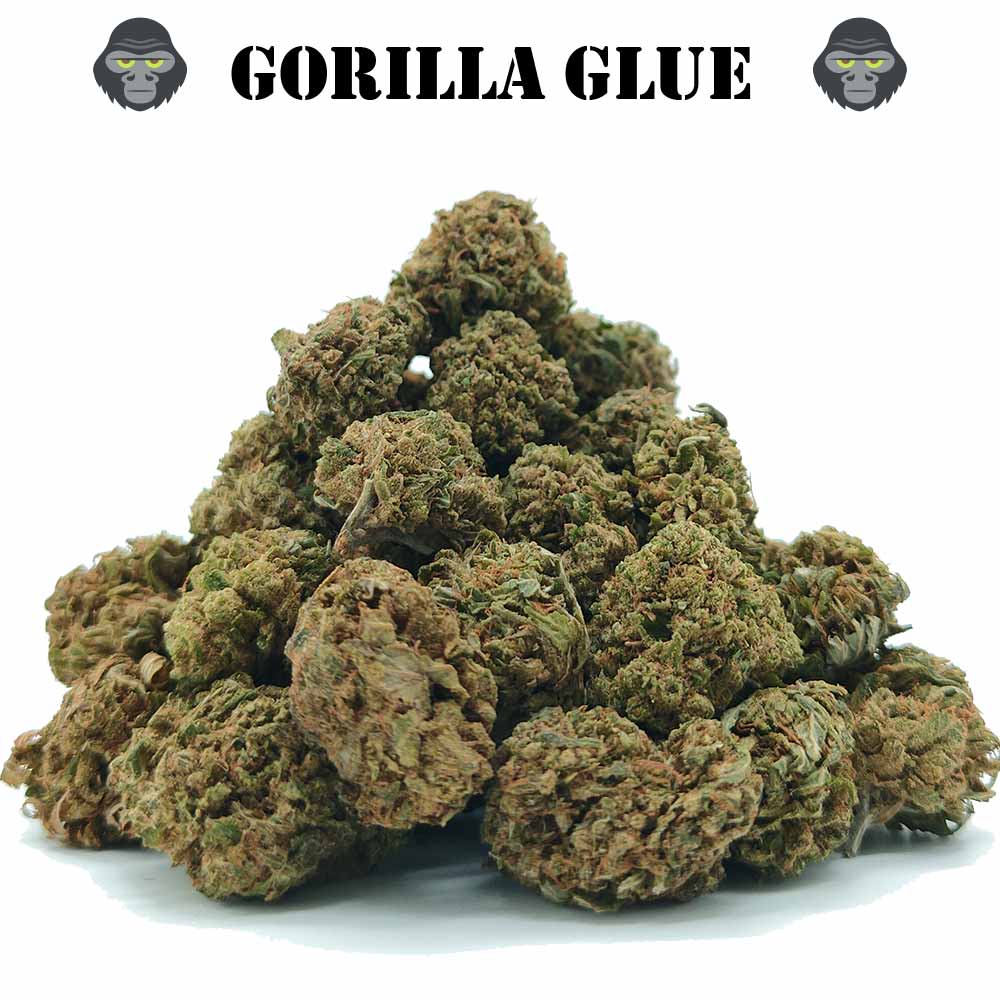 Popcorn - Gorilla Glue