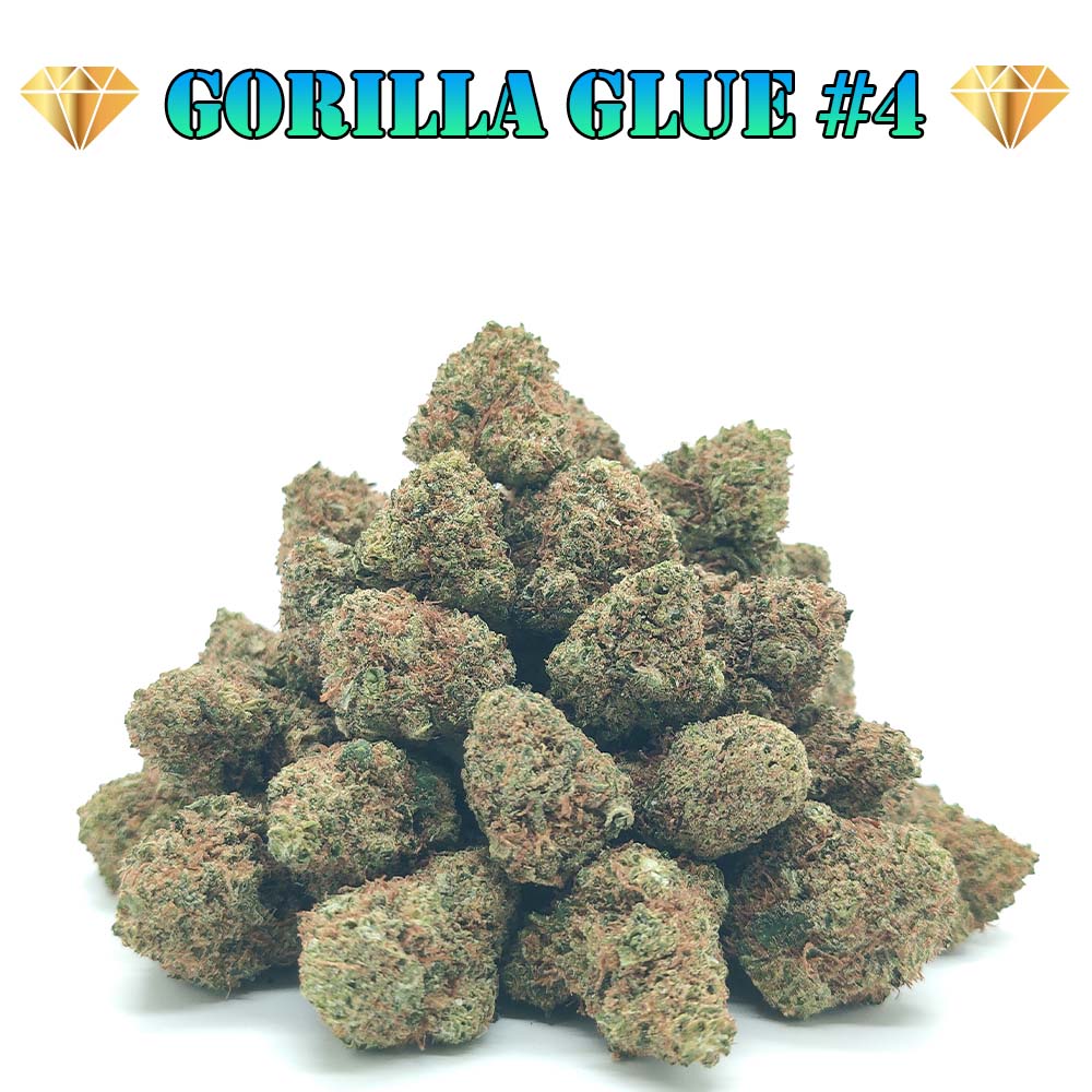 Gorilla Glue #4 - Popcorn Luxury Edition