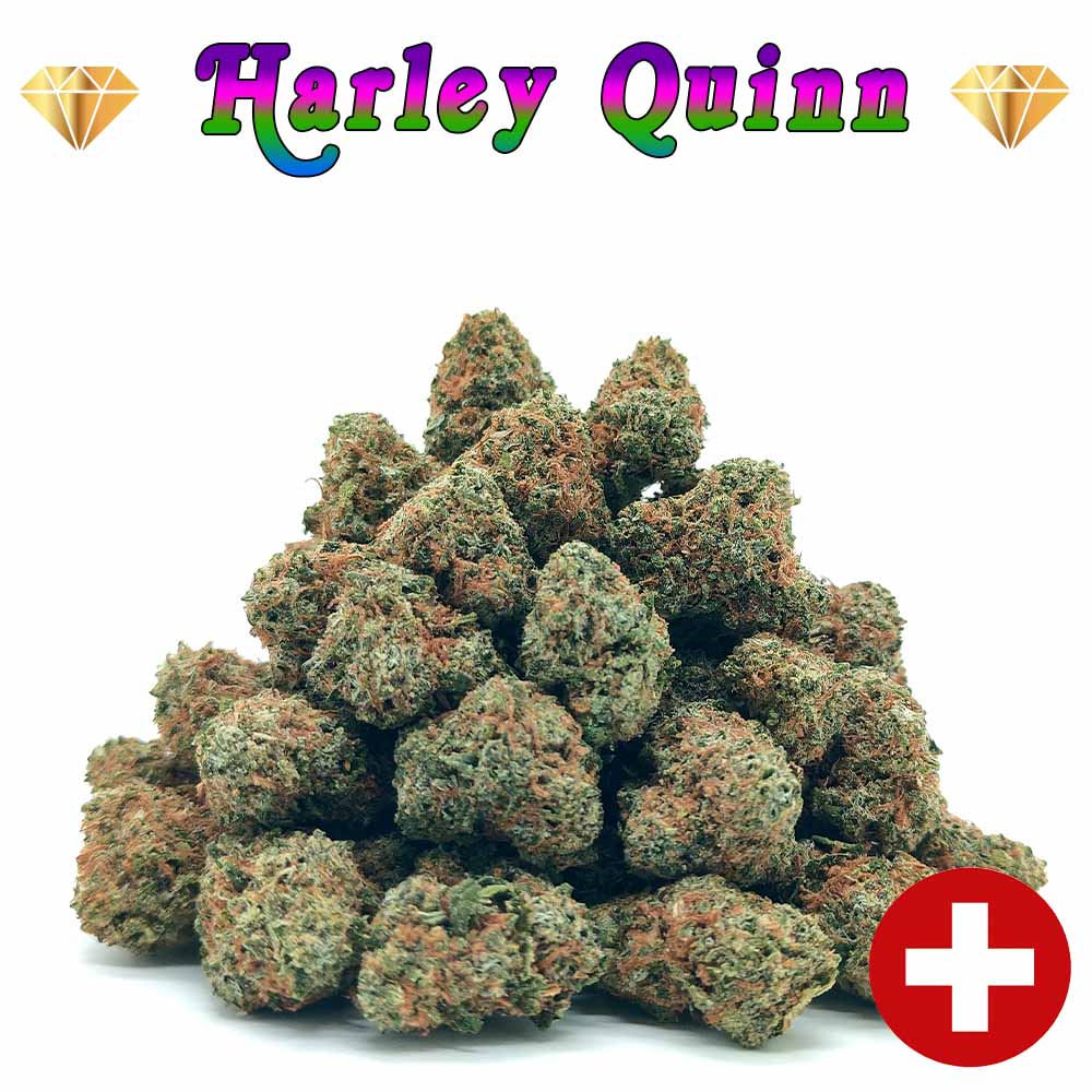 🎁 Harleyquinn - Popcorn Luxury Edition - LFC Drop #01 (OFFERT)
