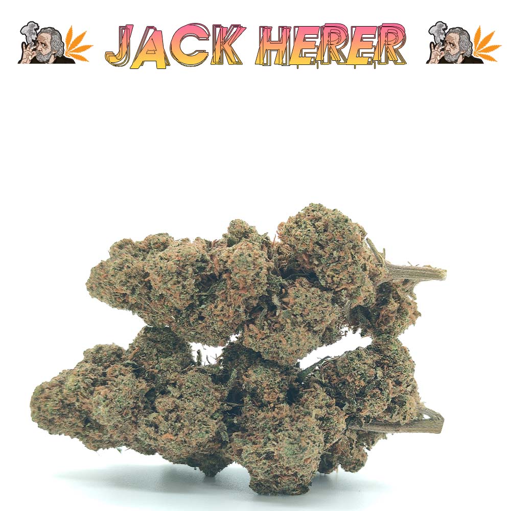 Jack Herer