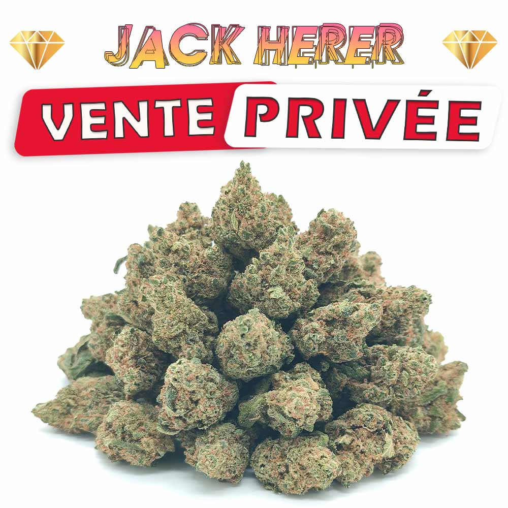 Vente Privée🌟 Jack Herer - Popcorn Luxury Edition
