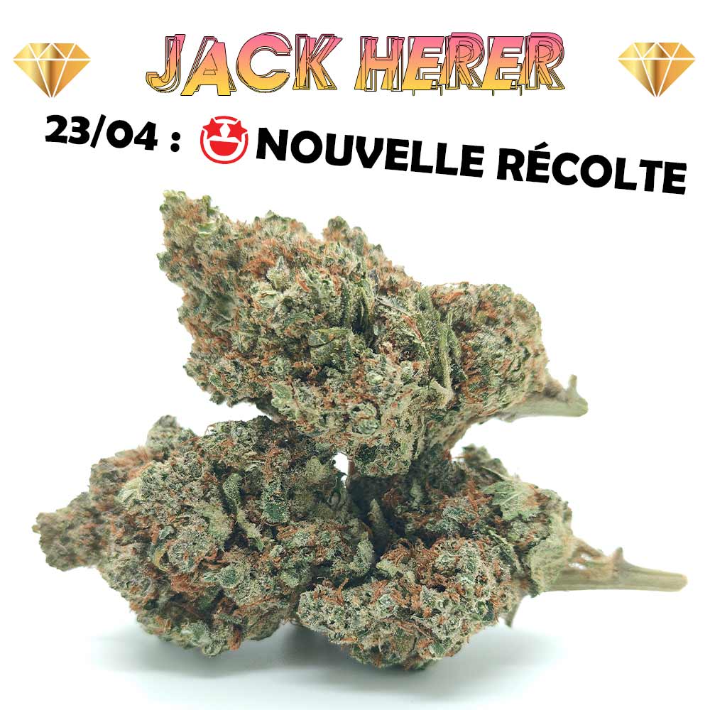 50€ d'achat - 1er Cadeau offert