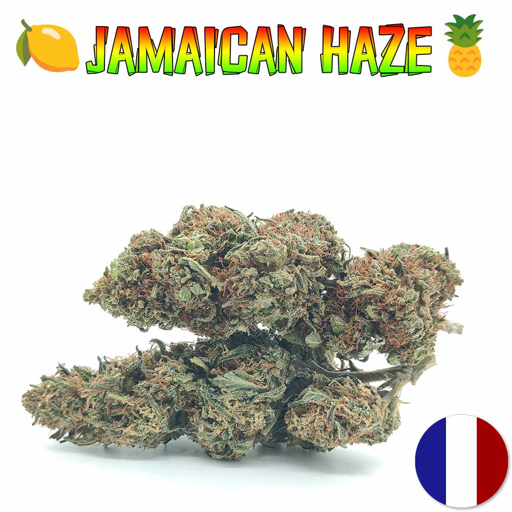 Jamaican Haze