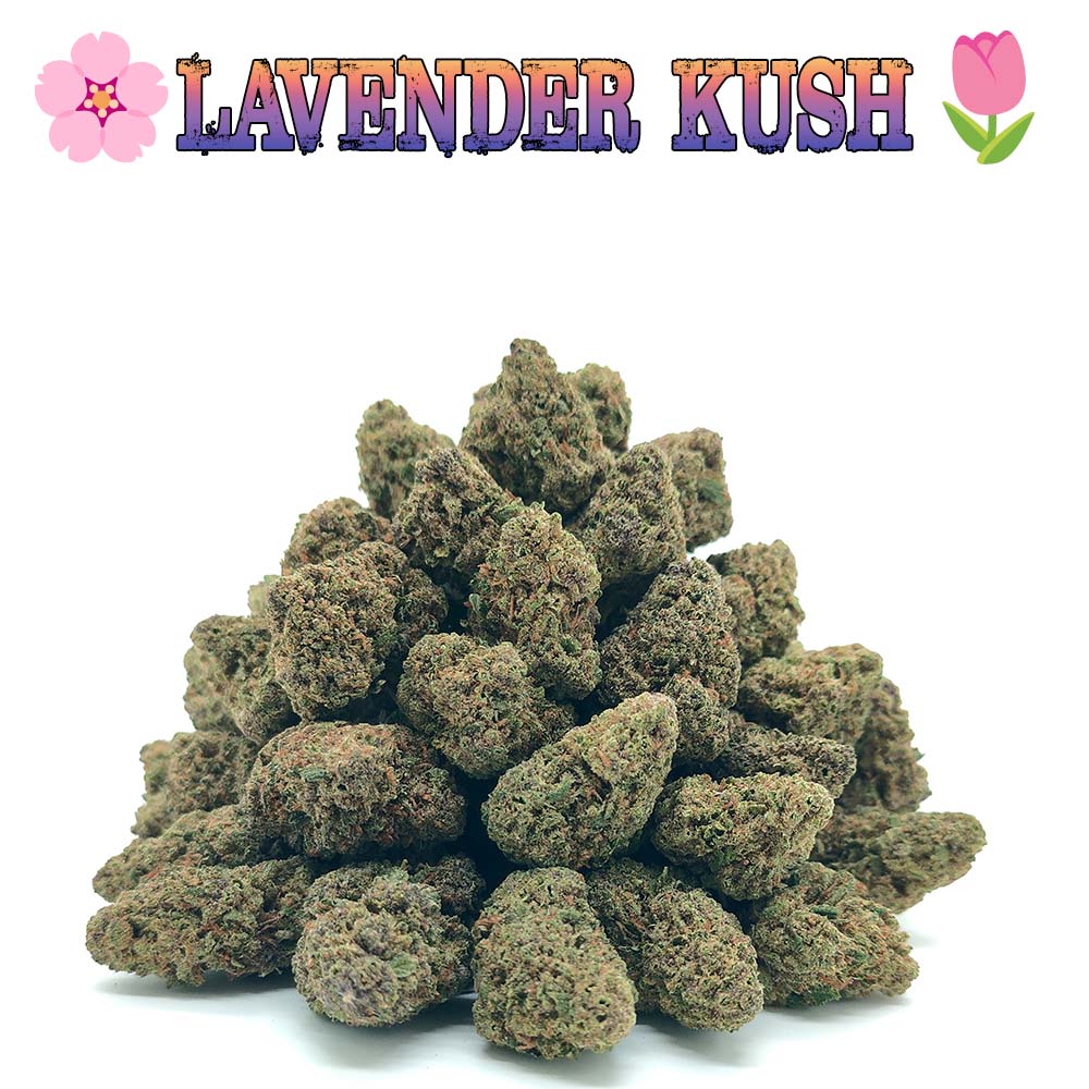 Popcorn - Lavender Kush