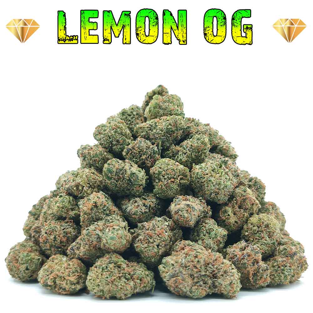 Lemon OG  - Popcorn Luxury Edition