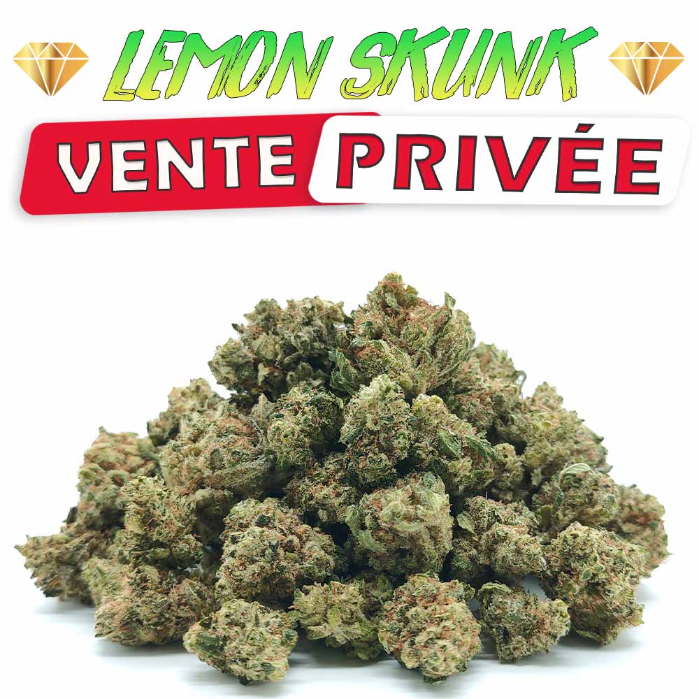 Vente Privée🌟 Lemon Skunk - Popcorn Luxury Edition