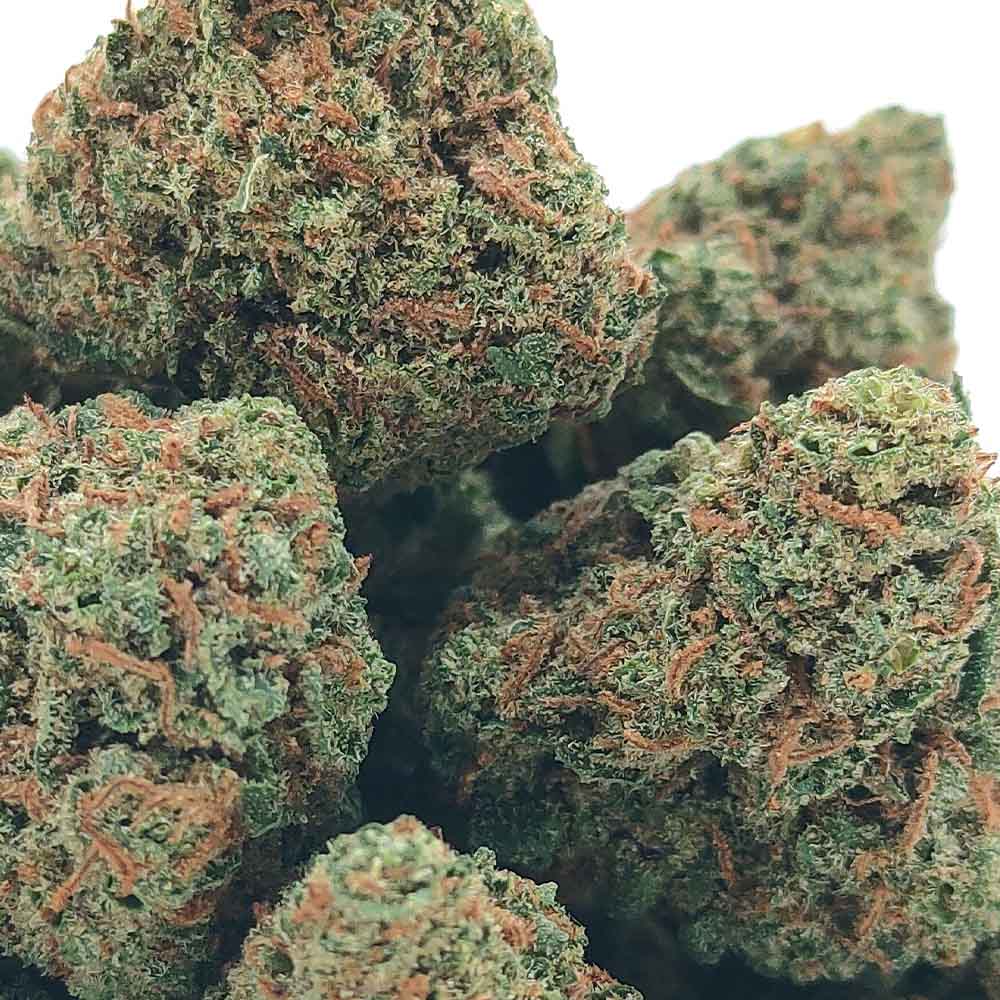 Northern Lights - Popcorn Luxury Edition
