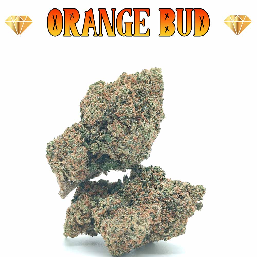 Orange Bud - Luxury Edition