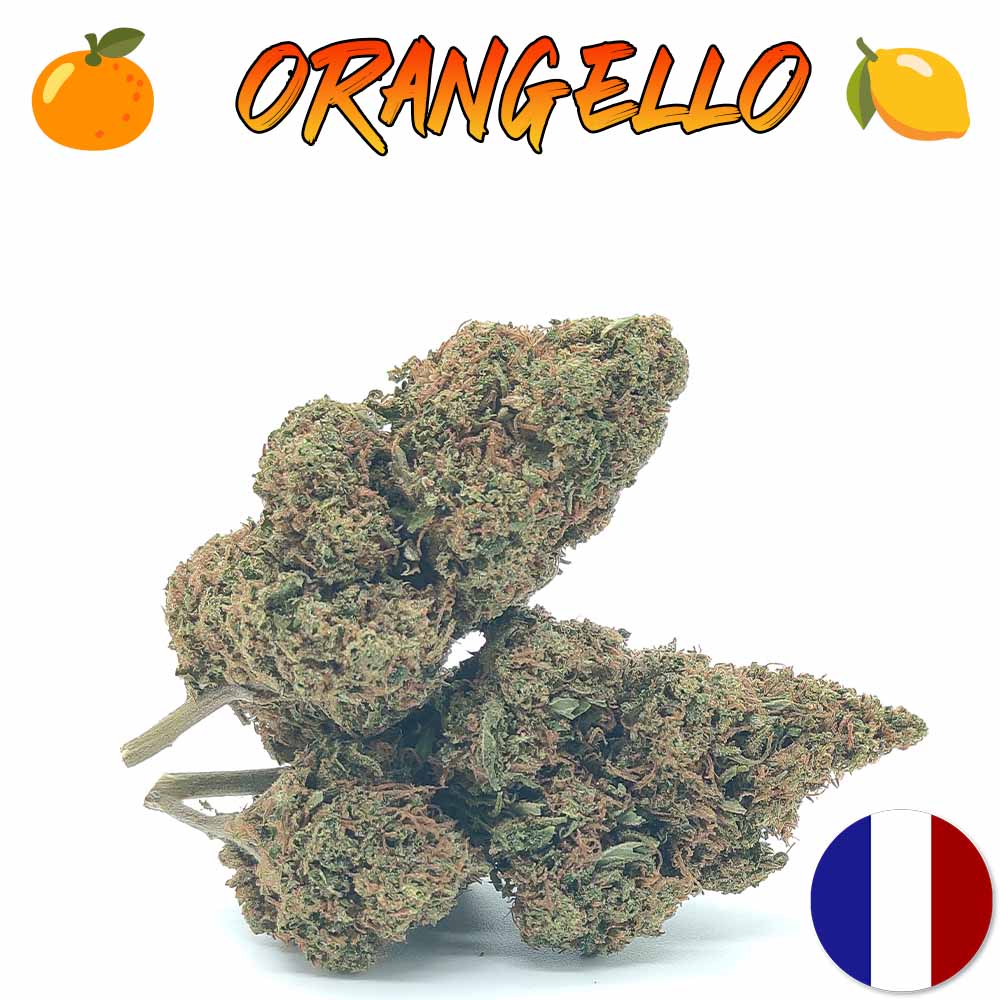 Orangello