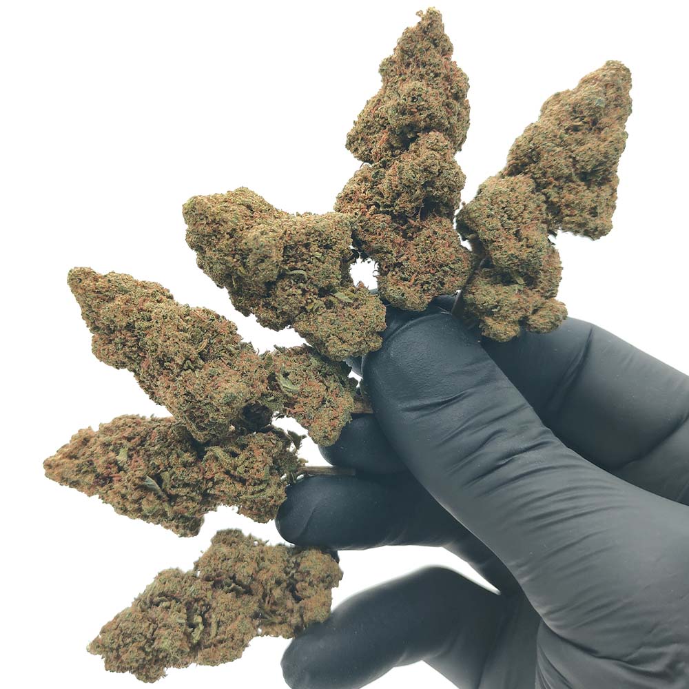 Vente Privée🌟 Pineapple Haze