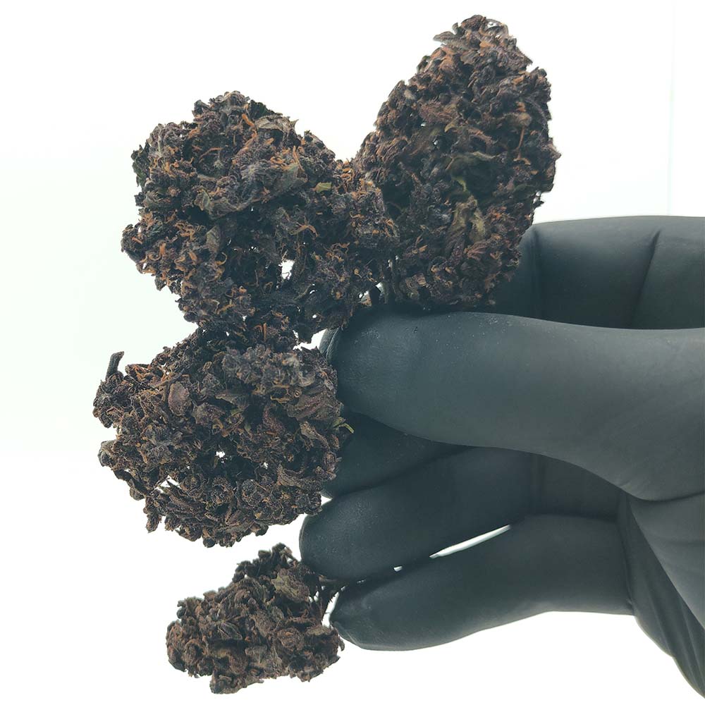 Purple Haze CBD pas chĂšre